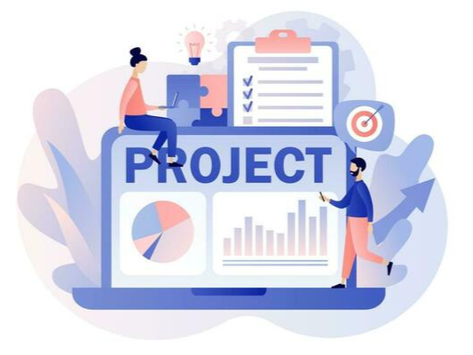 Project Manager